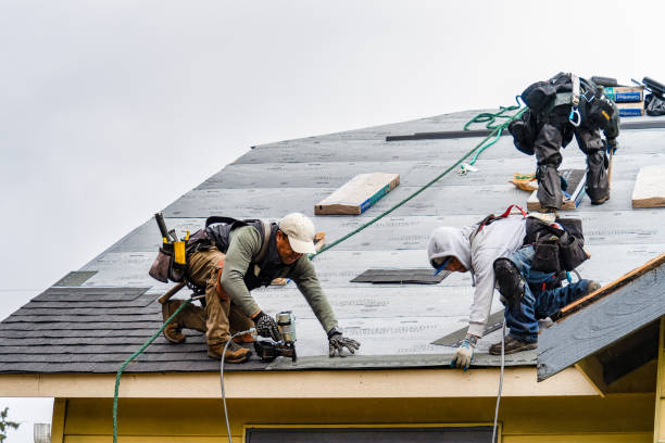 Professional Storm Damage Roof Repair technician working in Lewisburg, OH